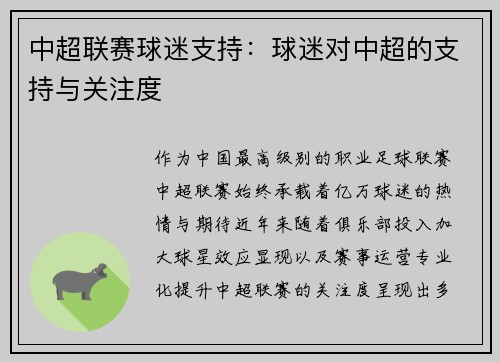 中超联赛球迷支持：球迷对中超的支持与关注度