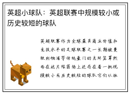 英超小球队：英超联赛中规模较小或历史较短的球队
